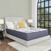 grand-hybrid-room-edit_orig.jpg GRAND HYBRID - 12.5" - Full, Queen, King